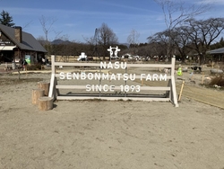 リニューアル後...