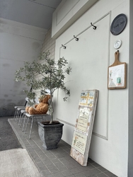 先週の無花果パ...