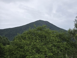 地元鹿沼市や、...