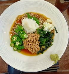 家で夏はシャワ...