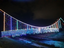 久しぶりに道の...