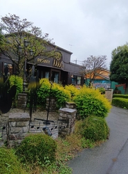 土曜日の午前1...