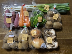 １３周年記念イ...