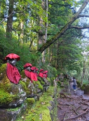 前日雨で、川が...