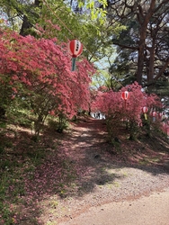 こちらの公園は...