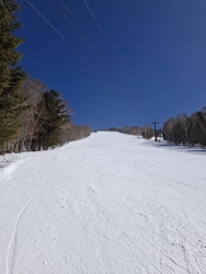 ただいま平日ハ...