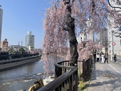 宇都宮駅に行く...