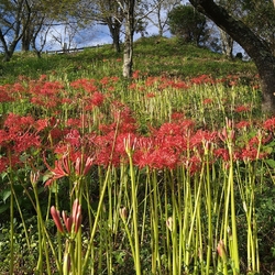 茂木・城山公園...