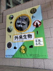 大人も楽しめる...