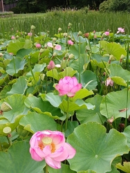 今日は、8月4...