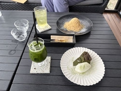 抹茶のガトーシ...
