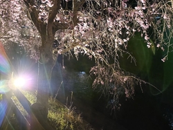 道の駅もてぎの...