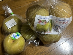 お盆間近、朝か...