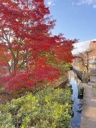 まちなかで時間...