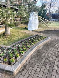 またまた♨堪能...