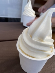 豆腐ソフトが食...