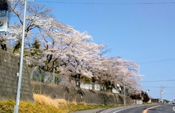 平日午後走行。...