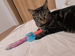 ベルモに来たら...