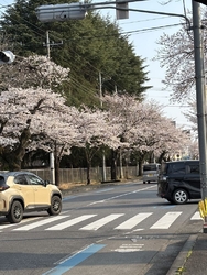 ぶらりベルモー...