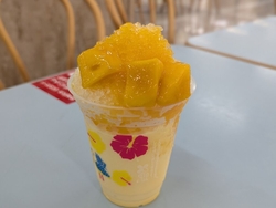 期間限定のハワ...