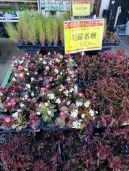 とても久し振り...