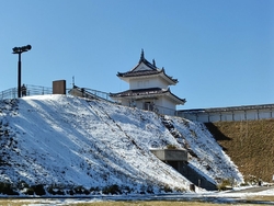 近くに行ったの...