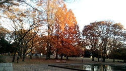 文化会館に行っ...