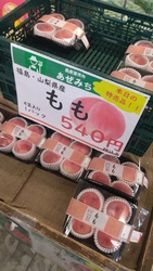 ７月上旬に伺っ...