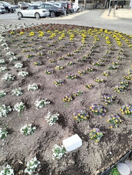 今年初めての♨...