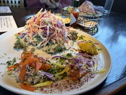 サラダのボリュ...