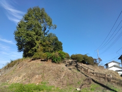 晴天で、めっち...