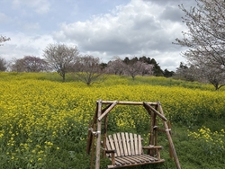 この季節が来る...