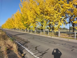 少し早いかなぁ...