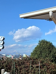 今日は、12月...