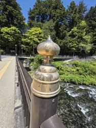 太陽の光を浴び...