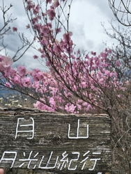 月山を歩いてき...
