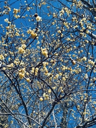 見晴らしが良く...