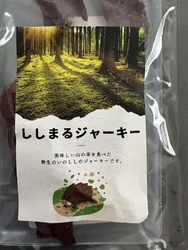 近くまで来たの...