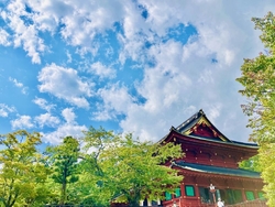 何とか希望する...