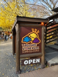 すっかり「宝石...