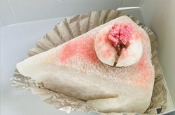 期間限定の【桜...