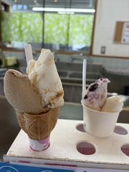 とにかく今日は...