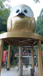 初訪問～！神社...