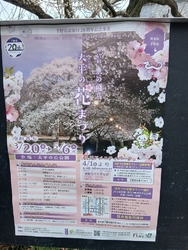 今日は、3月2...