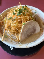 今日は東那須野...