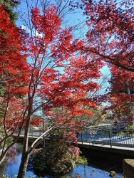 今日は、11月...