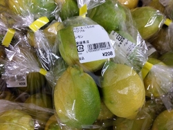 店内にはフレッ...