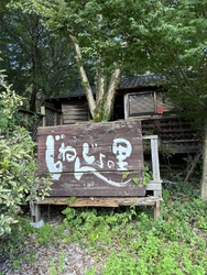 本格的な自然薯...