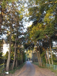 行ったことがな...