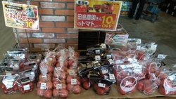 新鮮な野菜や果...